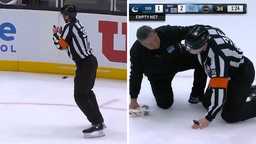 Айс, айс, бэйби! 🏒 Судья НХЛ словил шайбу в самое "достоинство"! 🙈