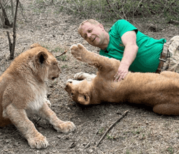Крымский кошмар: Львы едва не загрызли владельца «Тайгана»! 🦁🔪😱