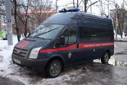 Михаил - выстрелил в живот своей беременной жене и пытался убить 5-летнюю девочку, после чего пытался покончить жизнь самоубийством.