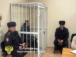 В Новосибирске невестка убила свекровь и ранила 9-летнего сына!😱
