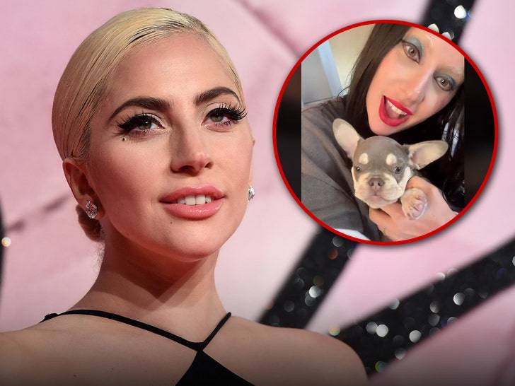 Леди Гага променяла жениха на… щенка?! 🐶 Шок в Голливуде! (Фото: 1)