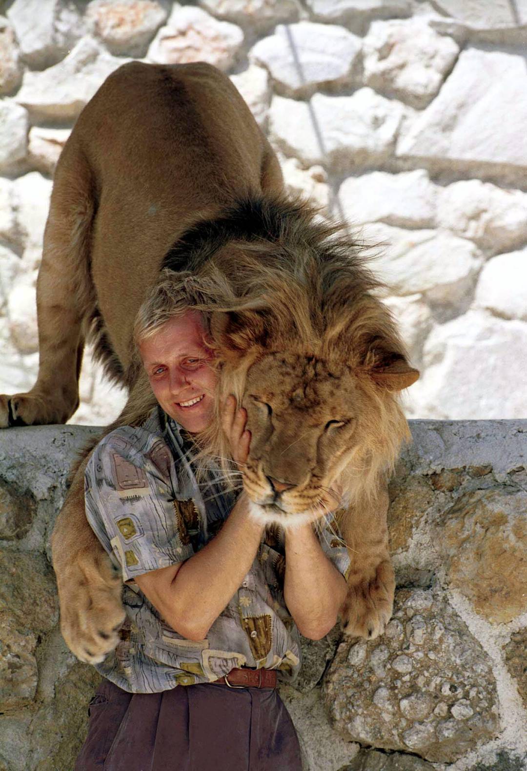 Лев чуть не сожрал хозяина «Тайгана»! 🦁😱 (Фото: 1)