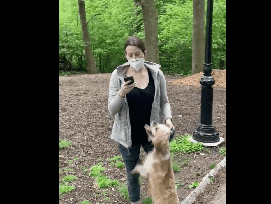 Шок! Расистка из Центрального парка снова в деле? 😱 (Фото: 1)