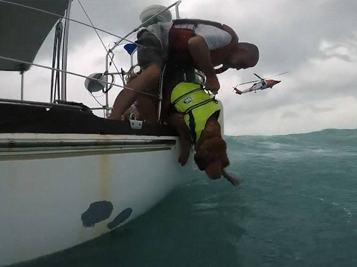 Спасение собаки и мужчины от урагана Хелен! 🐶🌊 (Фото: 2)