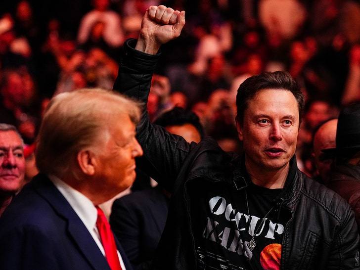 Трамп, Маск и Желейный Рулон на UFC 309: Скандальные сплетни! 💣💥 (Фото: 1)