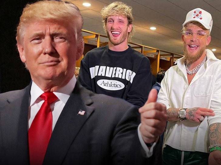 Трамп в экстазе от братьев Пол: «Настоящие бойцы!» 🥊  (Фото: 1)