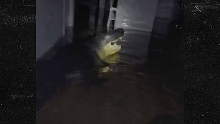 Ураган Милтон! В доме Флориды обнаружили аллигатора! 🐊😱 (Фото: 1)