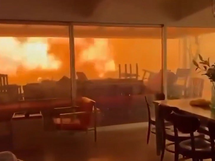 Фото: Адский огонь в Лос-Анджелесе: люди и собака в ловушке! 🔥 - Фото 2