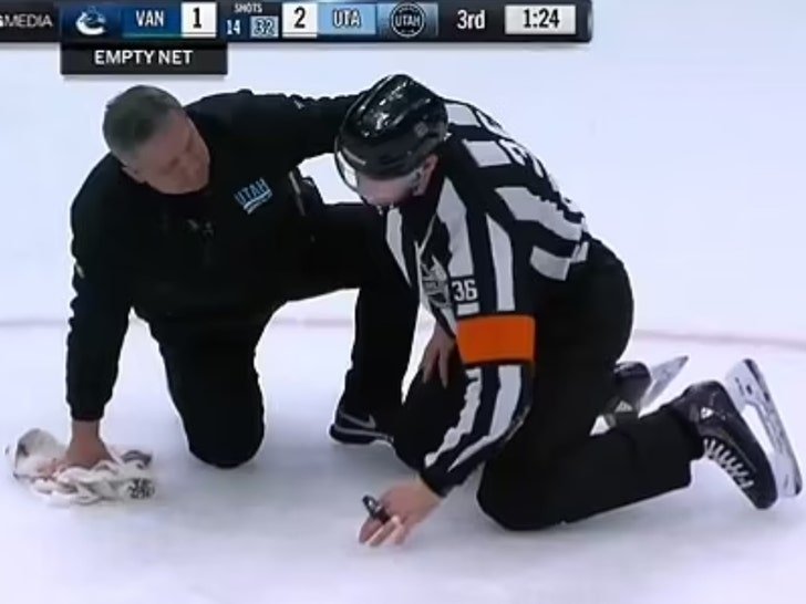 Фото: Айс, айс, бэйби! 🏒 Судья НХЛ словил шайбу в самое "достоинство"! 🙈 - Фото 3