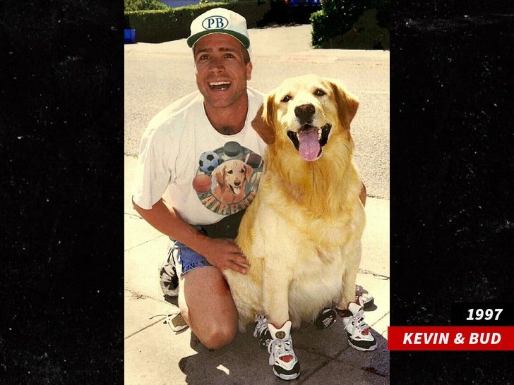Фото: Бездомный создатель "Эйр Бада" вернётся в кино! 🐶💸 - Фото 2