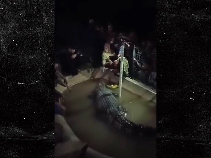 Фото: Крокодил-людоед напал на пенсионера в Индонезии! 🐊😱 - Фото 2