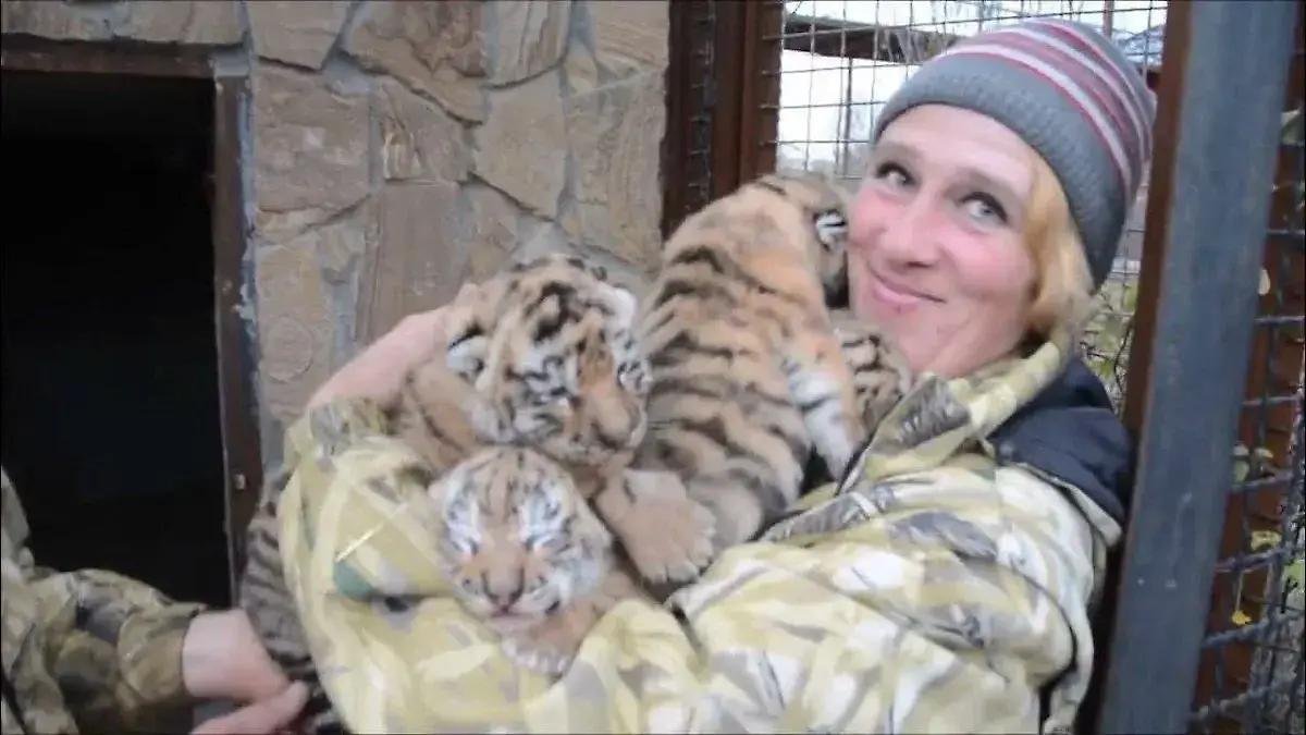 Фото: Крымский кошмар: Львы едва не загрызли владельца «Тайгана»! 🦁🔪😱 - Фото 2