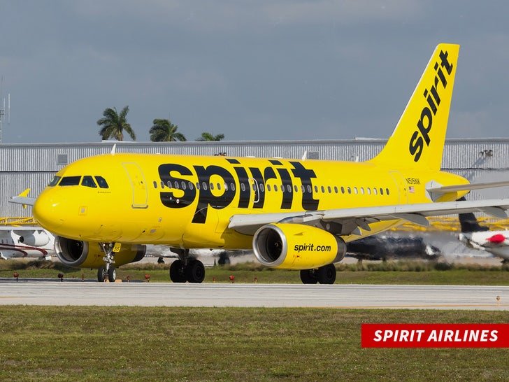 Фото: Крыса на борту Spirit Airlines: пассажиры в шоке! 😱🐭 - Фото 2