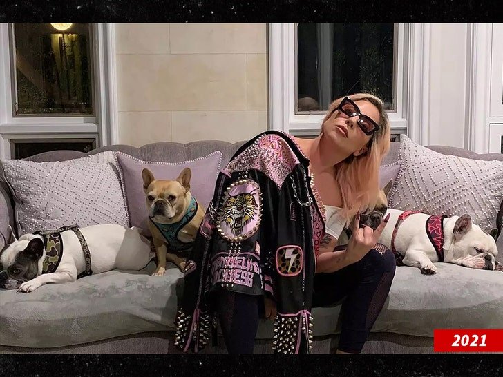 Фото: Леди Гага променяла жениха на… щенка?! 🐶 Шок в Голливуде! - Фото 2