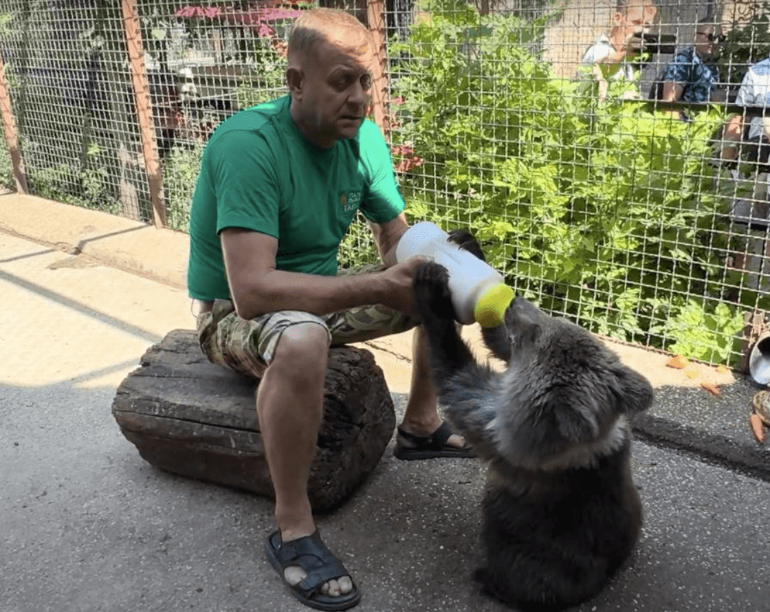 Фото: Лев чуть не сожрал директора «Тайгана»! 🦁 Бледанс в шоке! 😱 - Фото 2