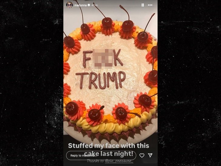 Фото: Мадонна съела торт с надписью «F*** Трамп» после выборов! 😡 - Фото 2