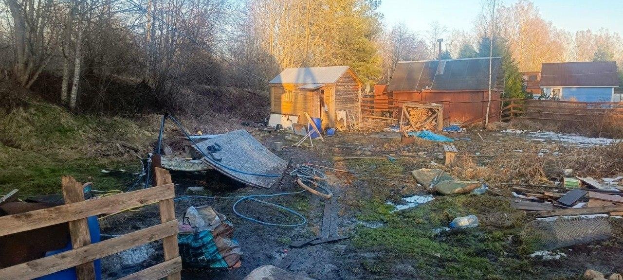 Фото: Мать-ехидна выгнала сыновей в сарай-бомжатник! 😲 - Фото 3