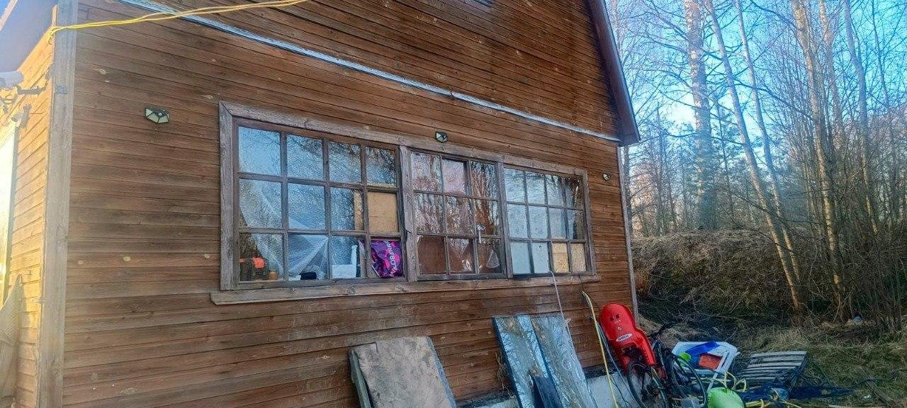 Фото: Мать-ехидна выгнала сыновей в сарай-бомжатник! 😲 - Фото 4