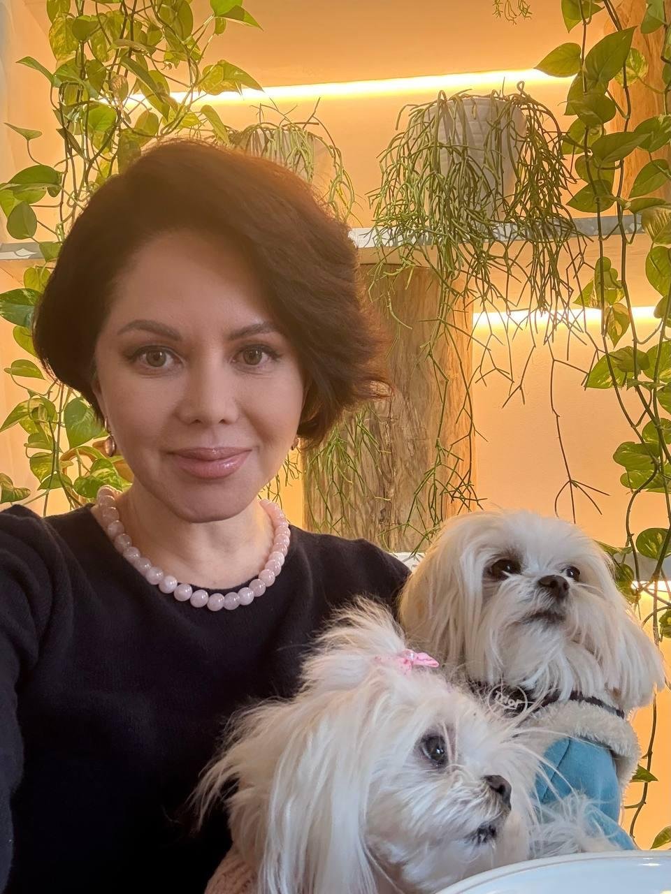 Фото: Не может быть! Жигунов завёл целый собачий детский сад! 🐕‍🦺 - Фото 3