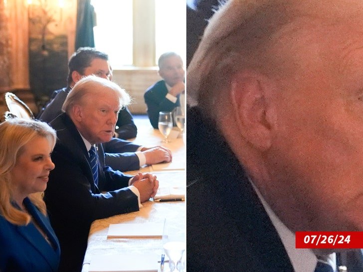 Фото: Пуля или моль? 😱  Новый поворот в деле о покушении на Трампа! - Фото 5