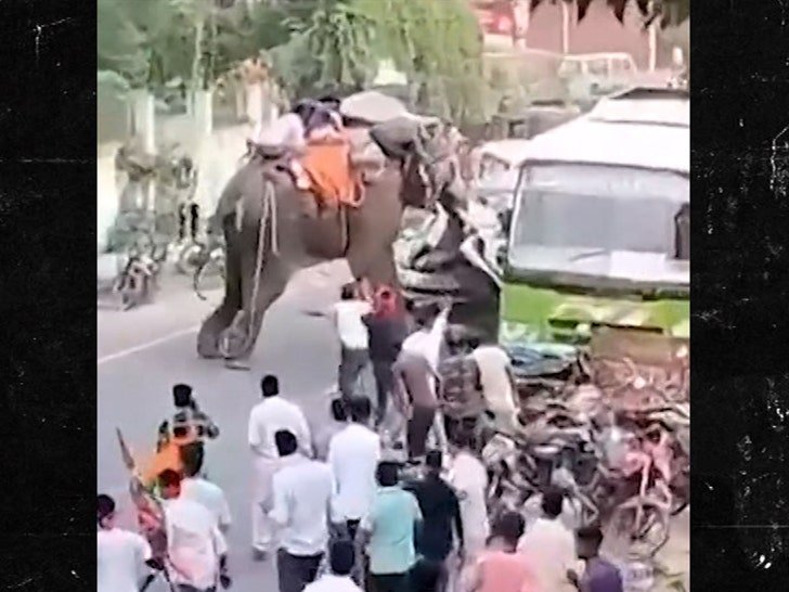 Фото: Слон-убийца! Индийский слон устроил жуткий беспредел на дороге! 🐘💥 - Фото 2