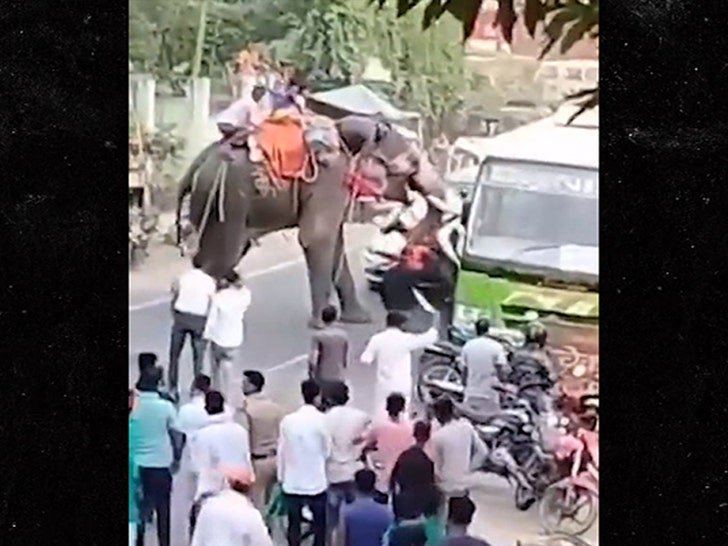 Фото: Слон-убийца! Индийский слон устроил жуткий беспредел на дороге! 🐘💥 - Фото 3