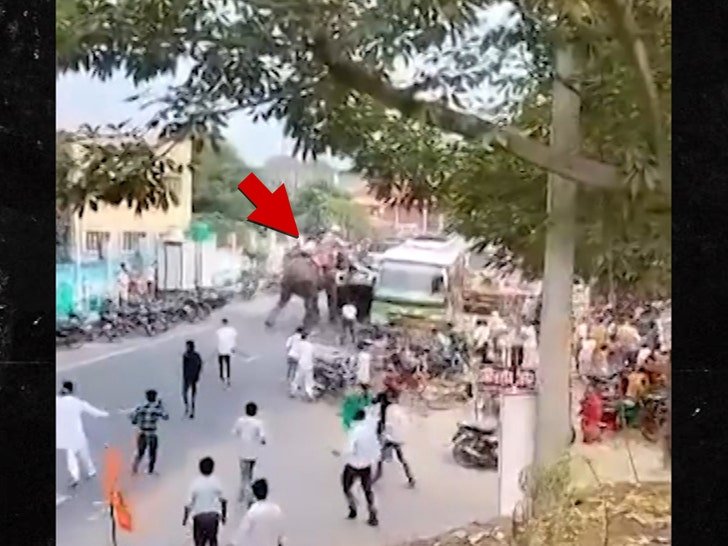 Фото: Слон-убийца! Индийский слон устроил жуткий беспредел на дороге! 🐘💥 - Фото 4