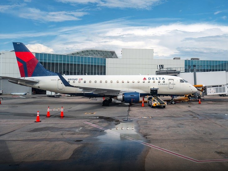 Фото: Собака-поводырь оттеснила пассажира Delta из первого класса! 😡 - Фото 4
