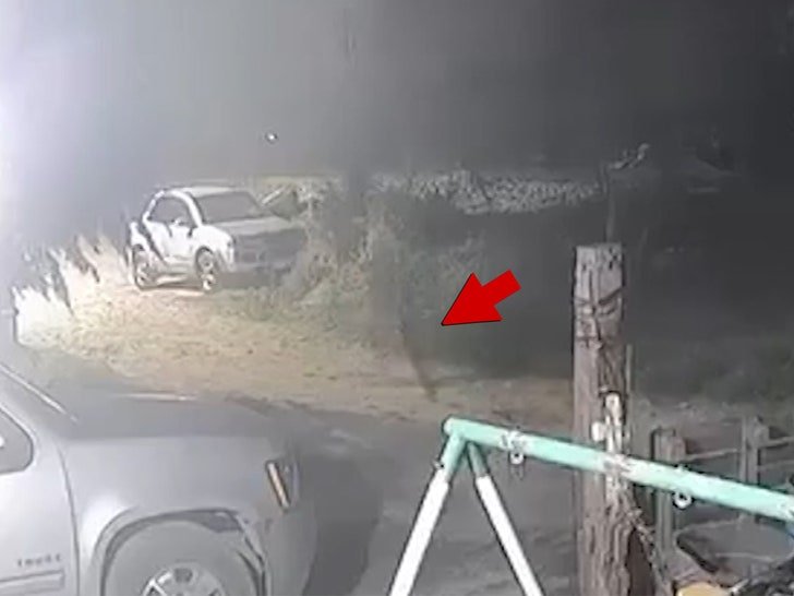 Фото: Собака превратилась в человека?! Шокирующее видео из Мексики! 😱 - Фото 3