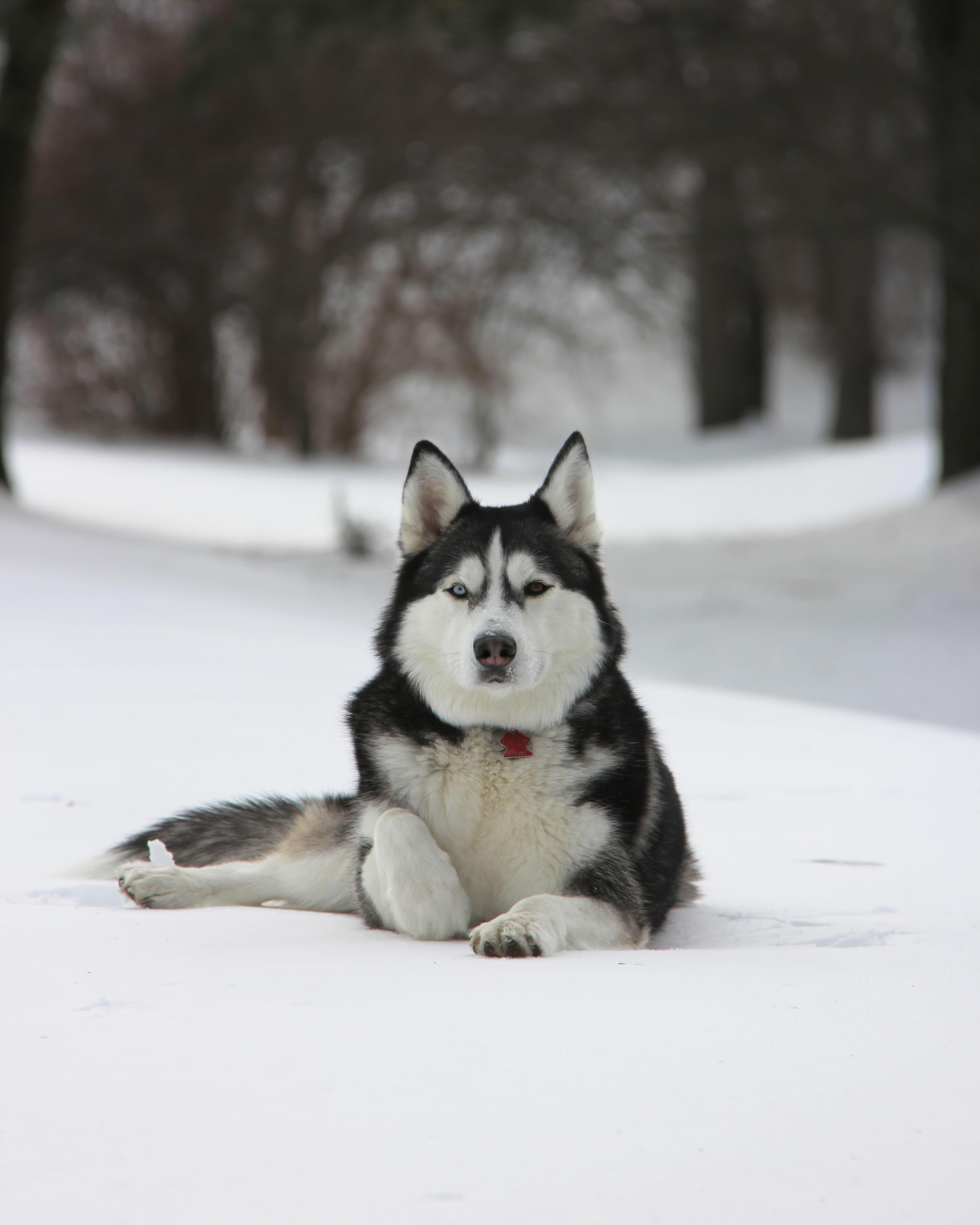 Фото: реанимация - Фото 10
