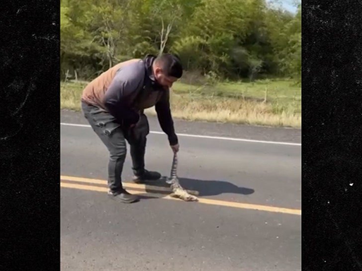 Фото: Спасая ящерицу, мужчина попал под машину! 🦎🚗 - Фото 2