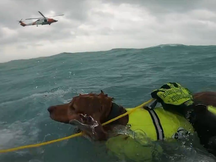 Фото: Спасение собаки и мужчины от урагана Хелен! 🐶🌊 - Фото 3