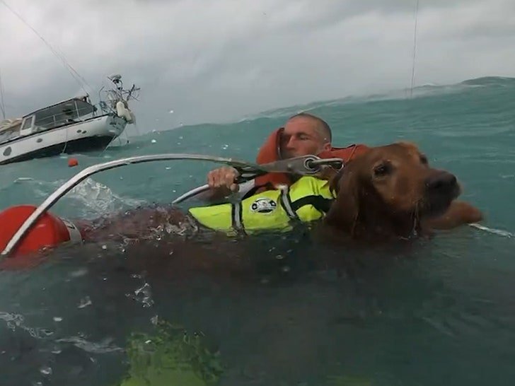 Фото: Спасение собаки и мужчины от урагана Хелен! 🐶🌊 - Фото 6