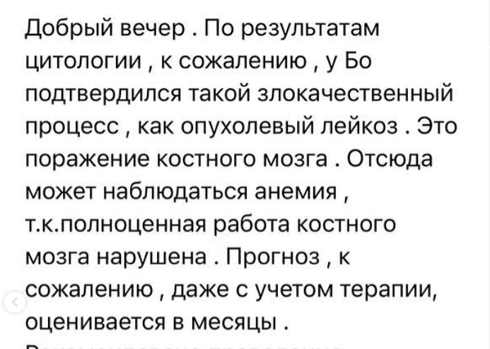 Фото: Ужас! У собаки Екатерины Волковой обнаружили рак крови! 😭 - Фото 3