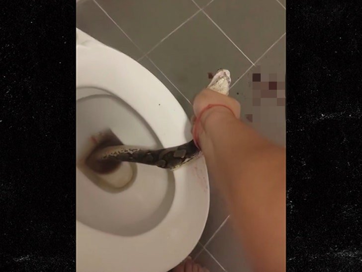 Фото: Ужас в туалете: питон откусил мужчине яички 😱 - Фото 2