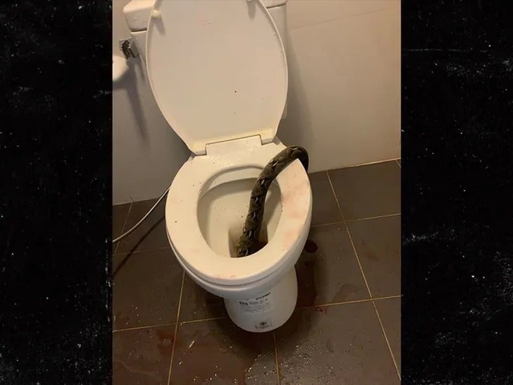 Фото: Ужас в туалете: питон откусил мужчине яички 😱 - Фото 3
