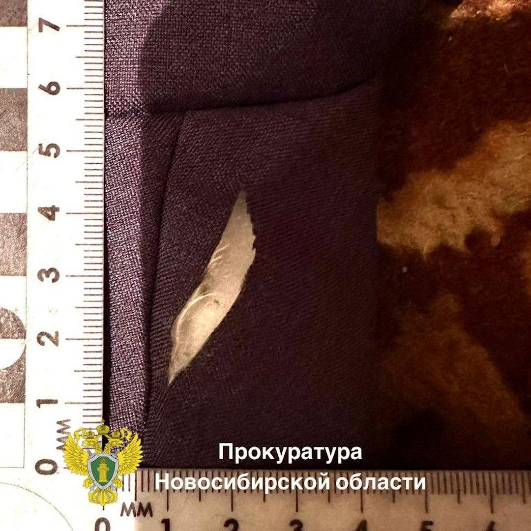 Фото: В Новосибирске невестка убила свекровь и ранила 9-летнего сына!😱 - Фото 3