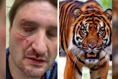 Фото: Папа Римский умер: с кем он шептался и что скрывал Ватикан? 🙊 - Фото 12