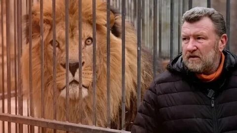 Фото: Звезда "Сестер 1000 фунтов" утверждает, что верблюд ее укусил, но владелец зоопарка не верит 🤔 - Фото 4