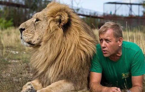 Фото: Львы парка "Тайган" растерзали профессионального кипера! 🦁 Трагедия в зоопарке! - Фото 6