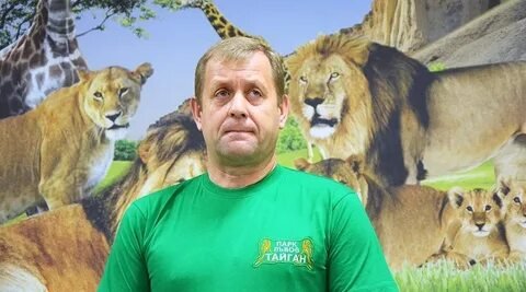 Фото: Крымский ужас: Львы разорвали владельца «Тайгана»! 🦁 Алсу метит на лондонское золото Абрамова?! 💰 - Фото 6