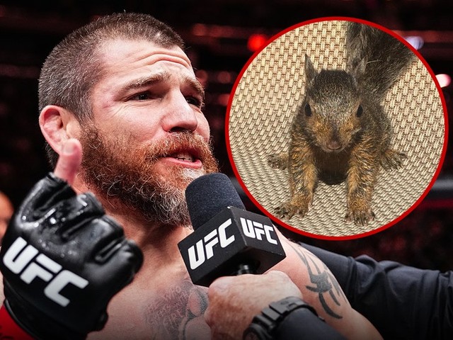 Белка Пышка: герой UFC 309 и «SNL»!  😱