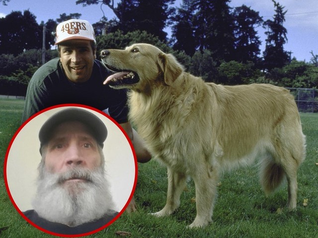 Бездомный создатель "Эйр Бада" вернётся в кино! 🐶💸