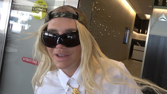 Kesha послала сенатора на три буквы! 🤬 Кошатницы атакуют! 🙀