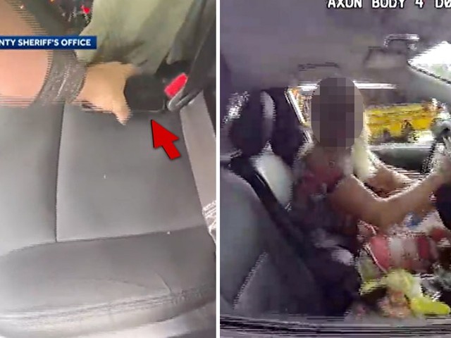 Коп из Флориды смотрел порно и врезался в машину! 😲