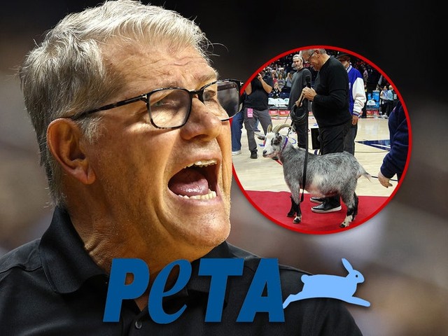 Козел Ауриеммы: У Коннектикута проблемы с животными! 🐐😡