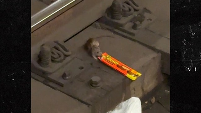 Крыса-гурман тащит гигантские конфеты по рельсам метро! 🐀🍫