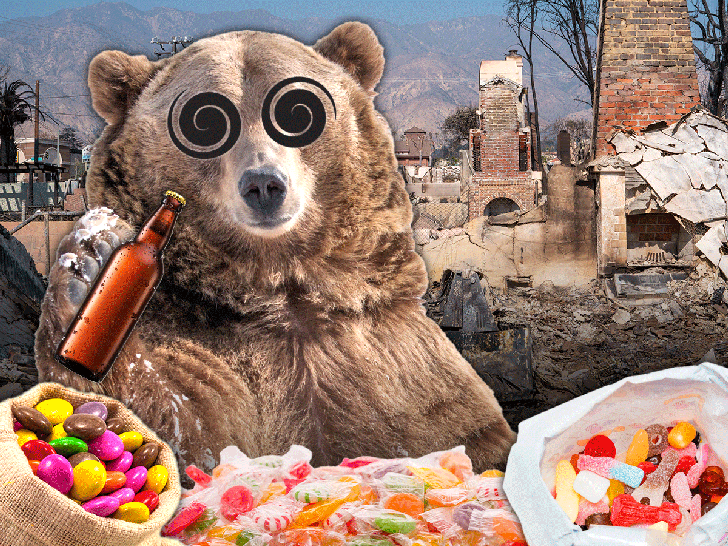 Медведь-алкоголик после пожара вломился в дом за выпивкой! 🐻😲