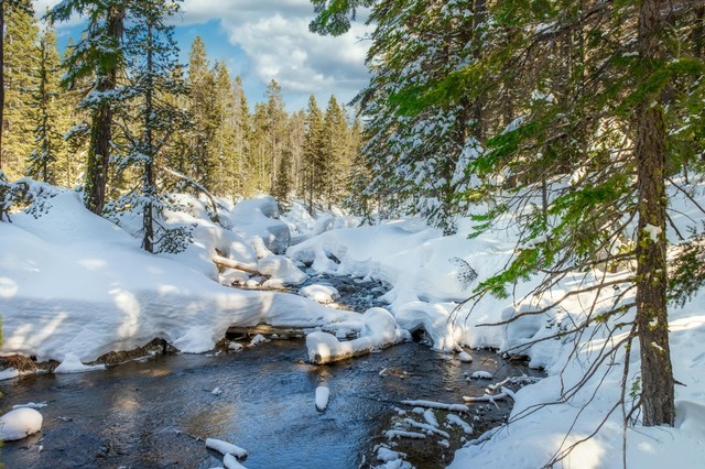 Пенсионерка 10 ДНЕЙ ПЛУТАЛА ПО ТАЙГЕ БЕЗ ЕДЫ И ВОДЫ! И ВЫЖИЛА!😱