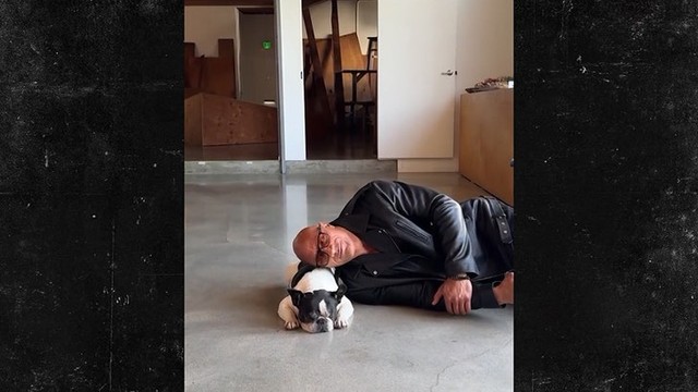 Скала в слезах! 😭 Дуэйн Джонсон потерял любимого питомца!
